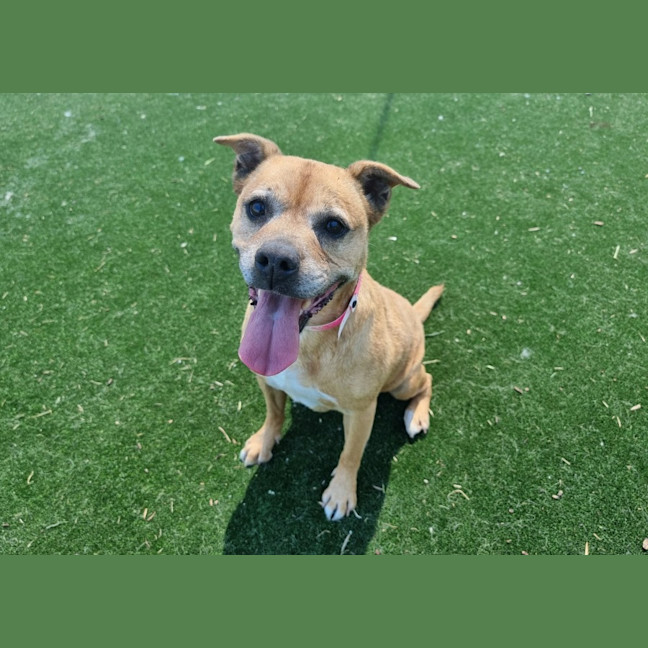 Photo of Sadie Imp 2862