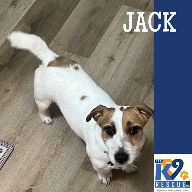 Photo of Jack