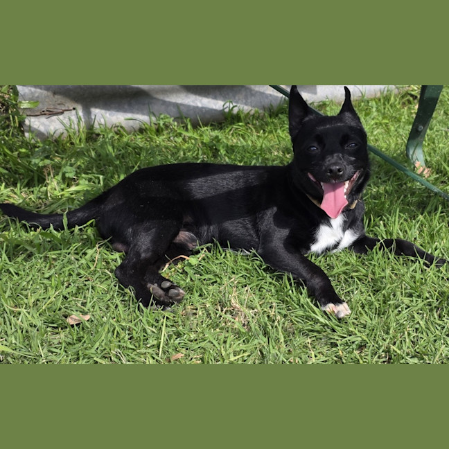 Photo of Scott (Turbo)