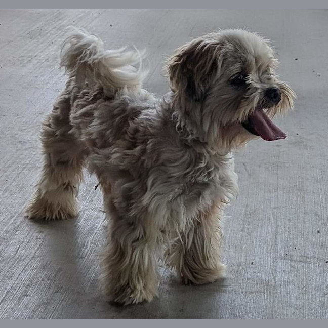 Photo of Axel