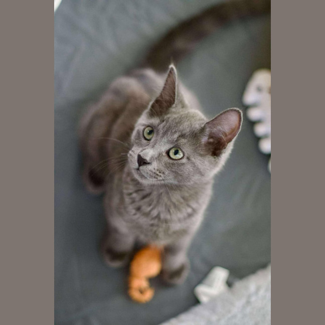 Photo of 💙 Ash 💙