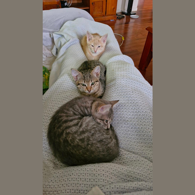 Photo of Alice