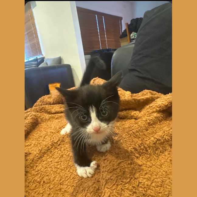 Photo of Lucky 