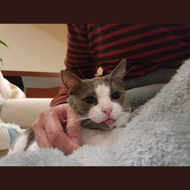 Photo of Lily