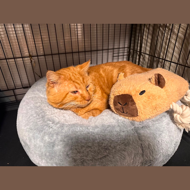 Photo of Ted