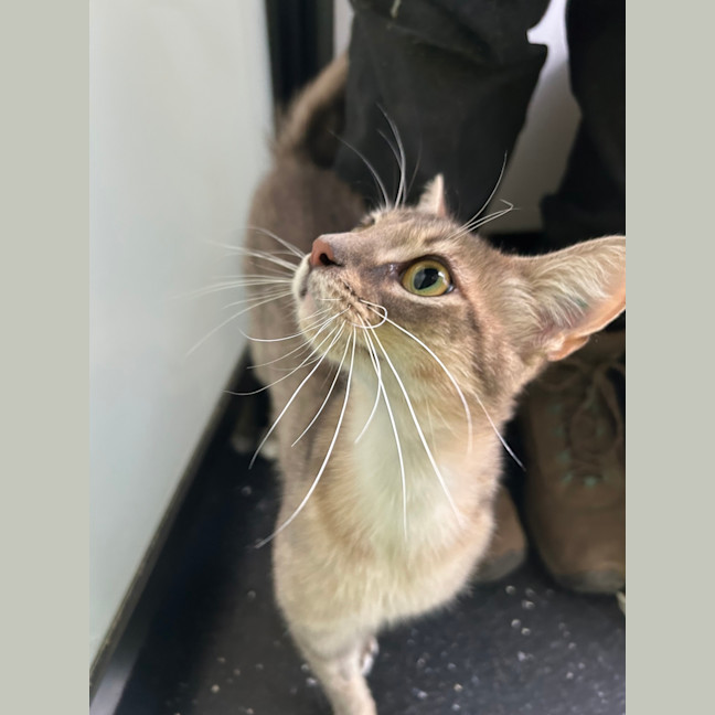 Photo of Bird The Word