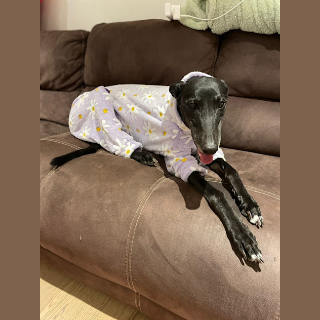Photo of Girlie