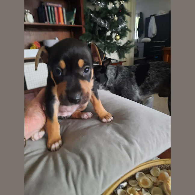 Photo of Prada