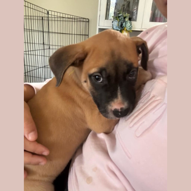 Photo of ⛰️ Coromandel's Litter (Part 2) ⛰️