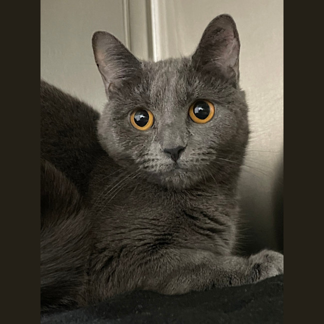 Photo of Linda