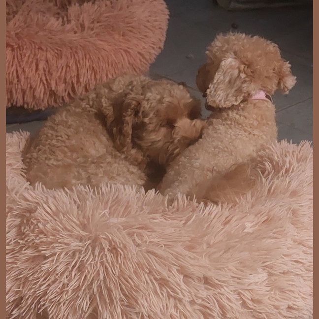 Photo of Layla And Lena 