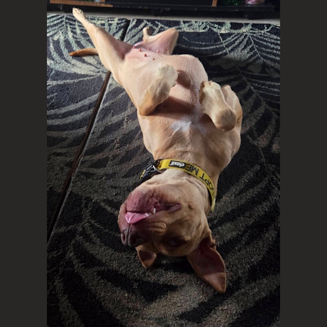 Photo of Sheila