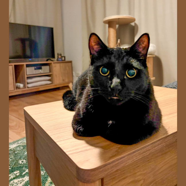 Photo of Neo