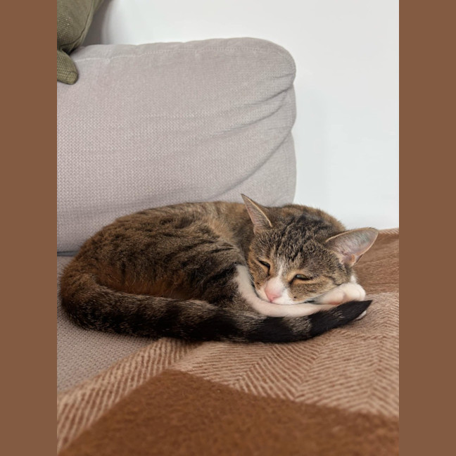 Photo of Trudy