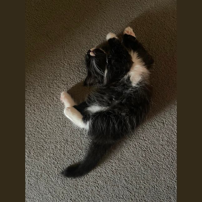 Photo of Mo