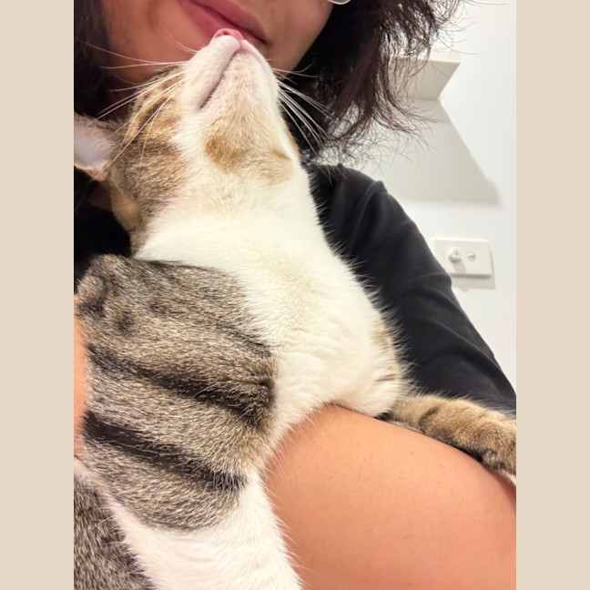 Photo of Artemis & Apollo