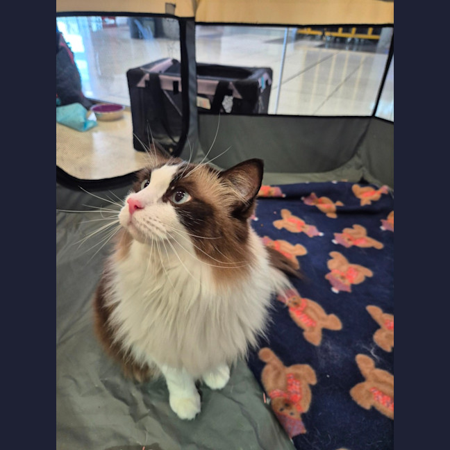 Photo of Bubbles And Lily 