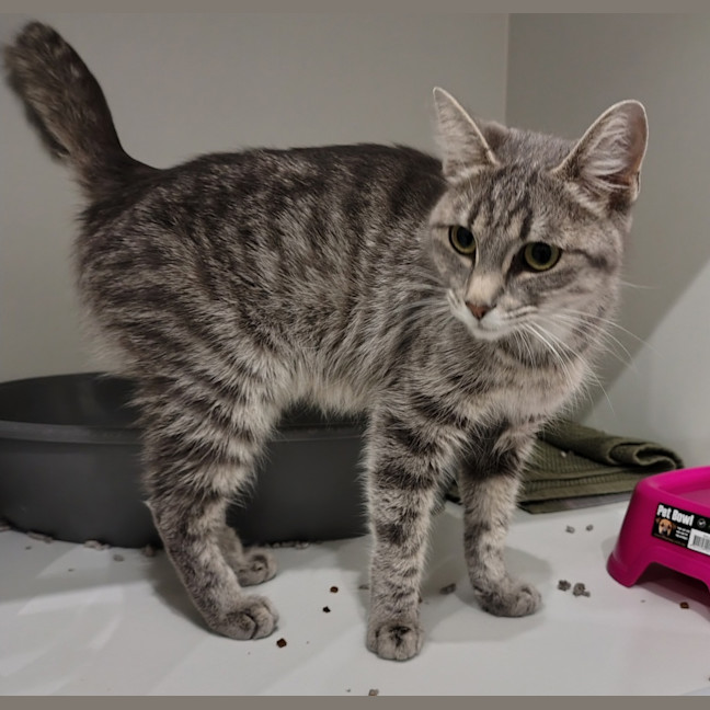 Photo of Buffy