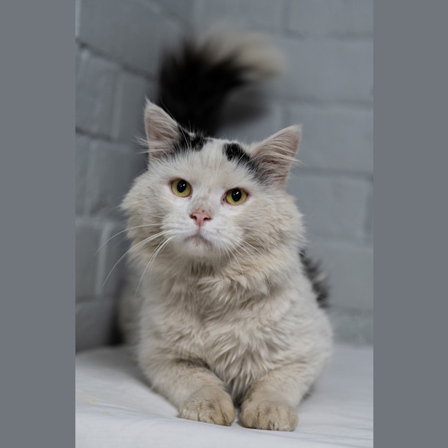 Photo of Charlie