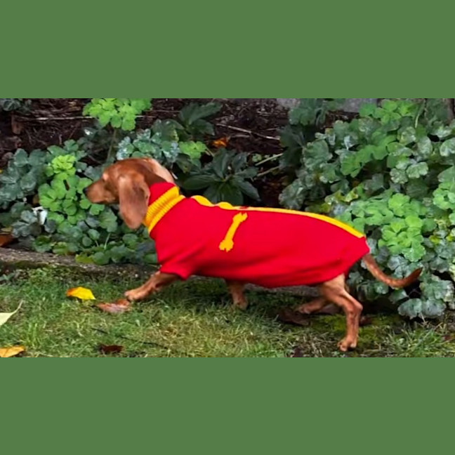 Photo of Evie And Ella