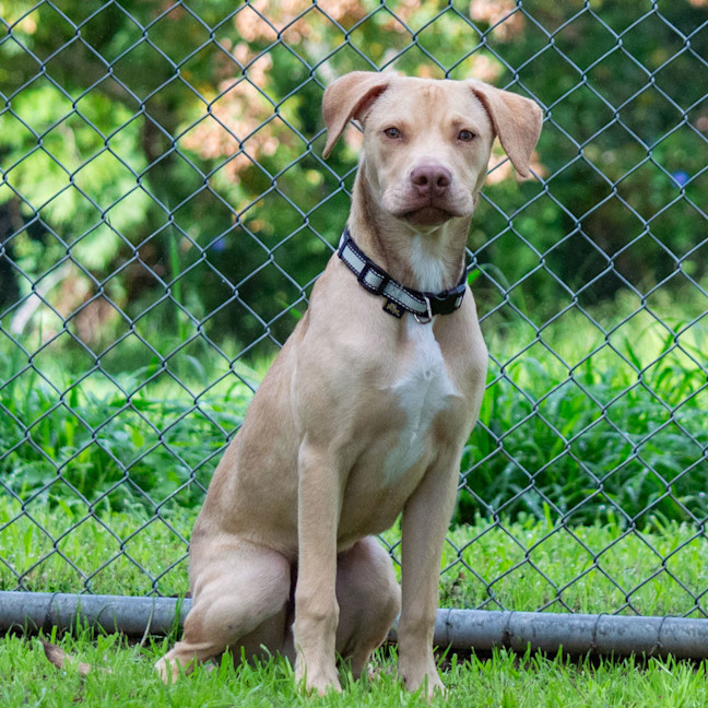 Photo of Cash
