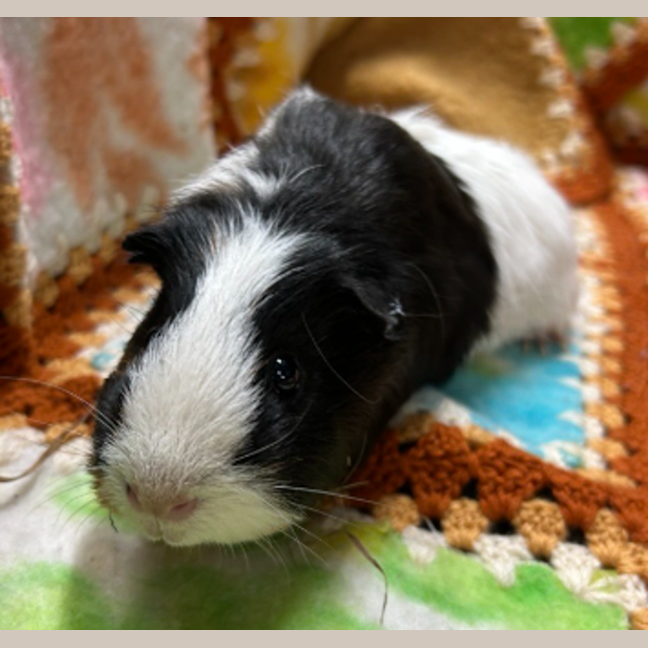Photo of Cloud