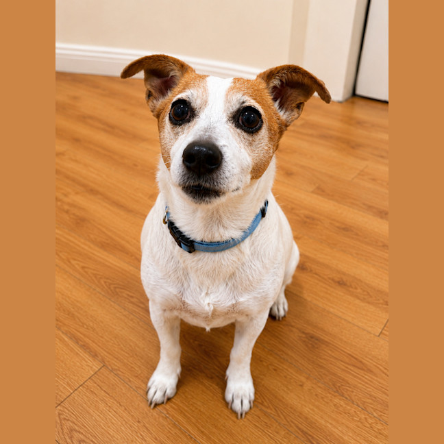 Photo of Roxy