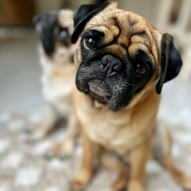 Photo of Fred And Mabel