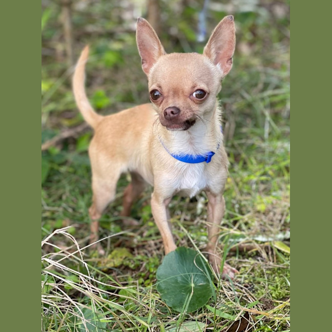 Photo of Paco