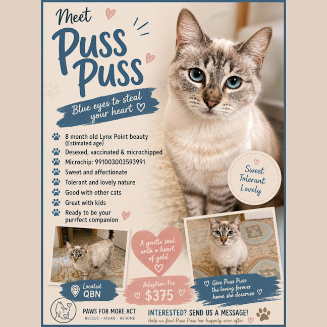 Photo of Puss Puss