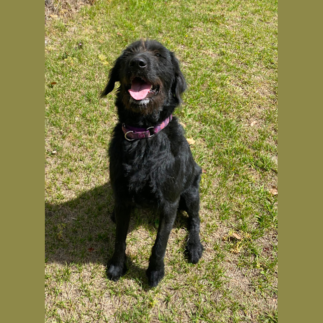 Photo of Audrey
