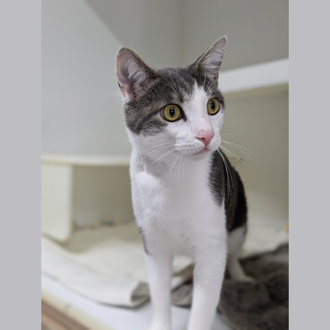 Photo of 📺 Toulouse 5727 📺