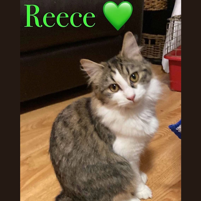 Photo of Reece