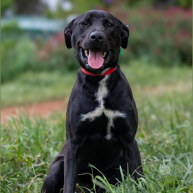 Photo of Tank