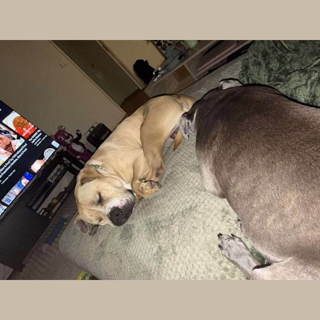 Photo of Butch