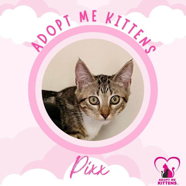 Photo of Pixx