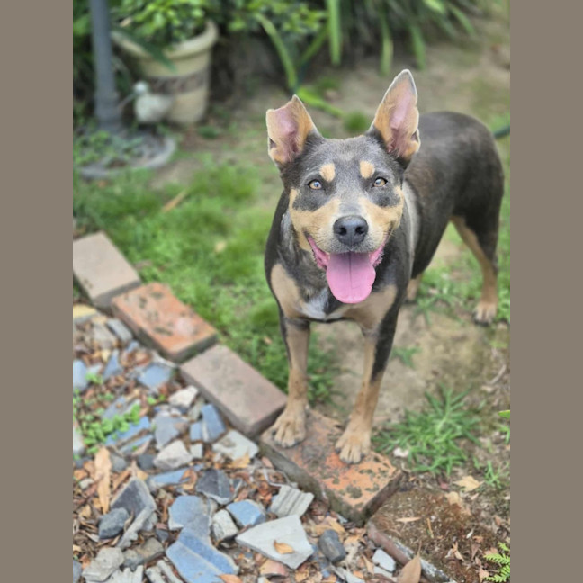 Photo of Milly 