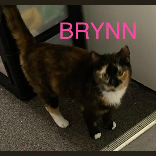 Photo of Brynn