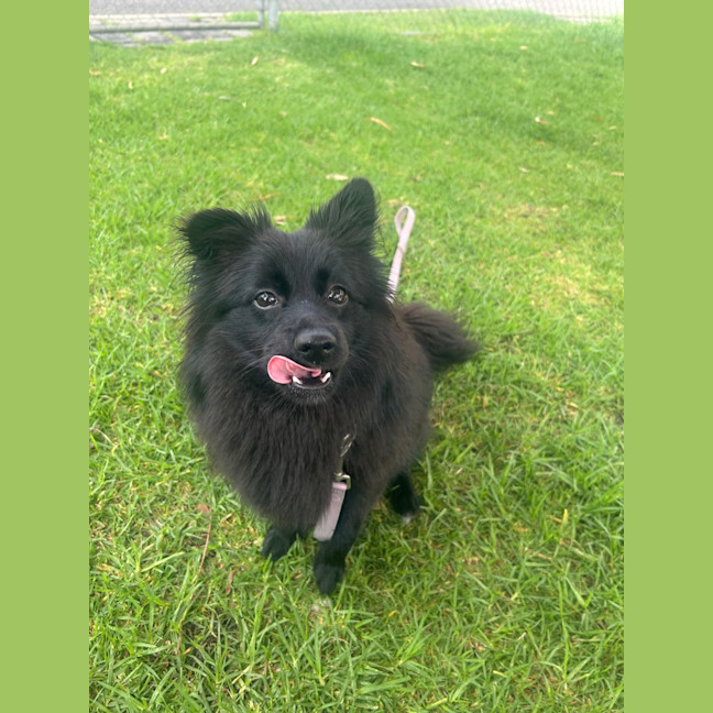 Photo of Wilma (Coco)