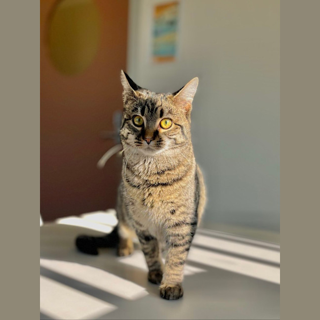 Photo of Mila