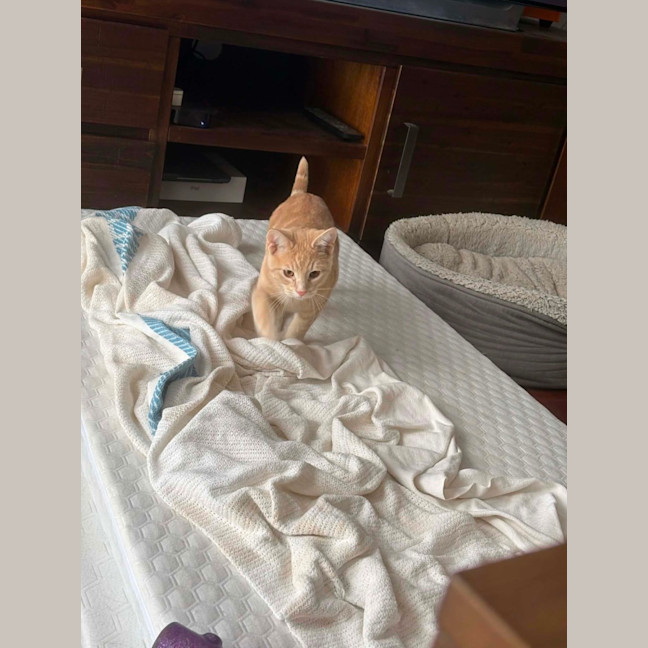 Photo of Cheezel & Milo