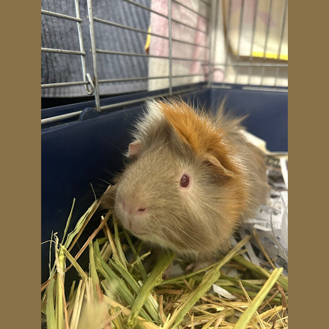 Photo of Eddy