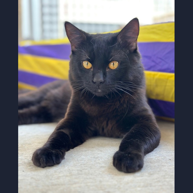 Photo of Wesley