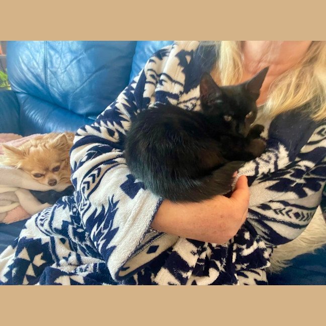 Photo of Rumor & Cider