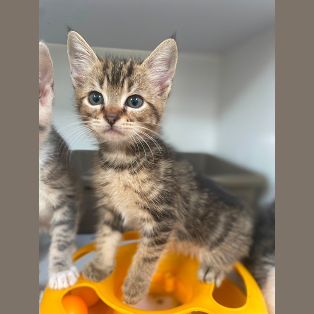 Photo of Moscow (9952)