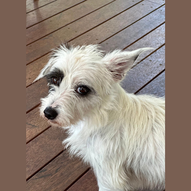 Photo of Jazz