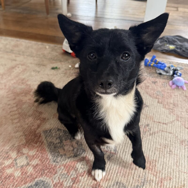 Photo of Charlie