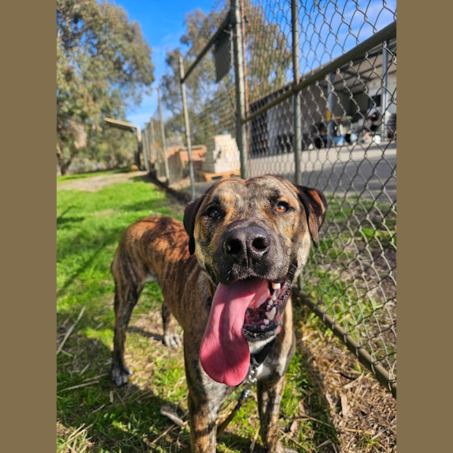 Photo of Ziggy