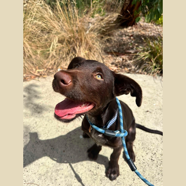 Photo of 🥯 Bagel 5769 🥯