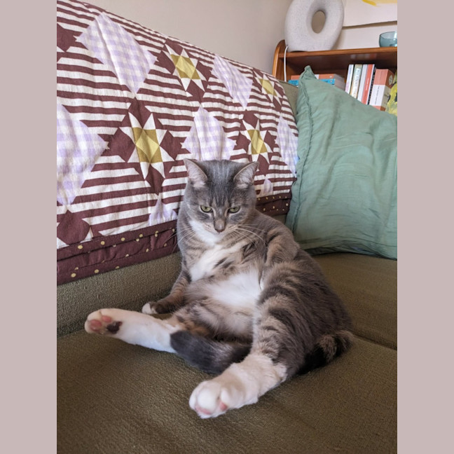 Photo of Ayaka   In Foster Care In Thornbury